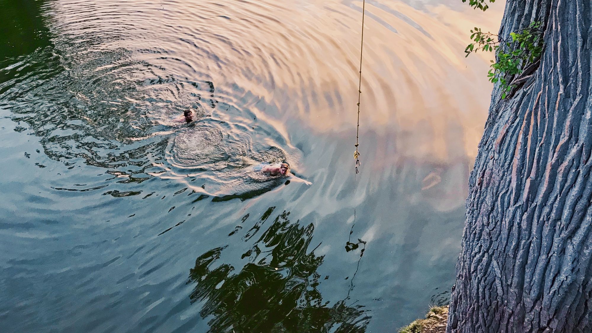 Rope Swings & Apple Orchards