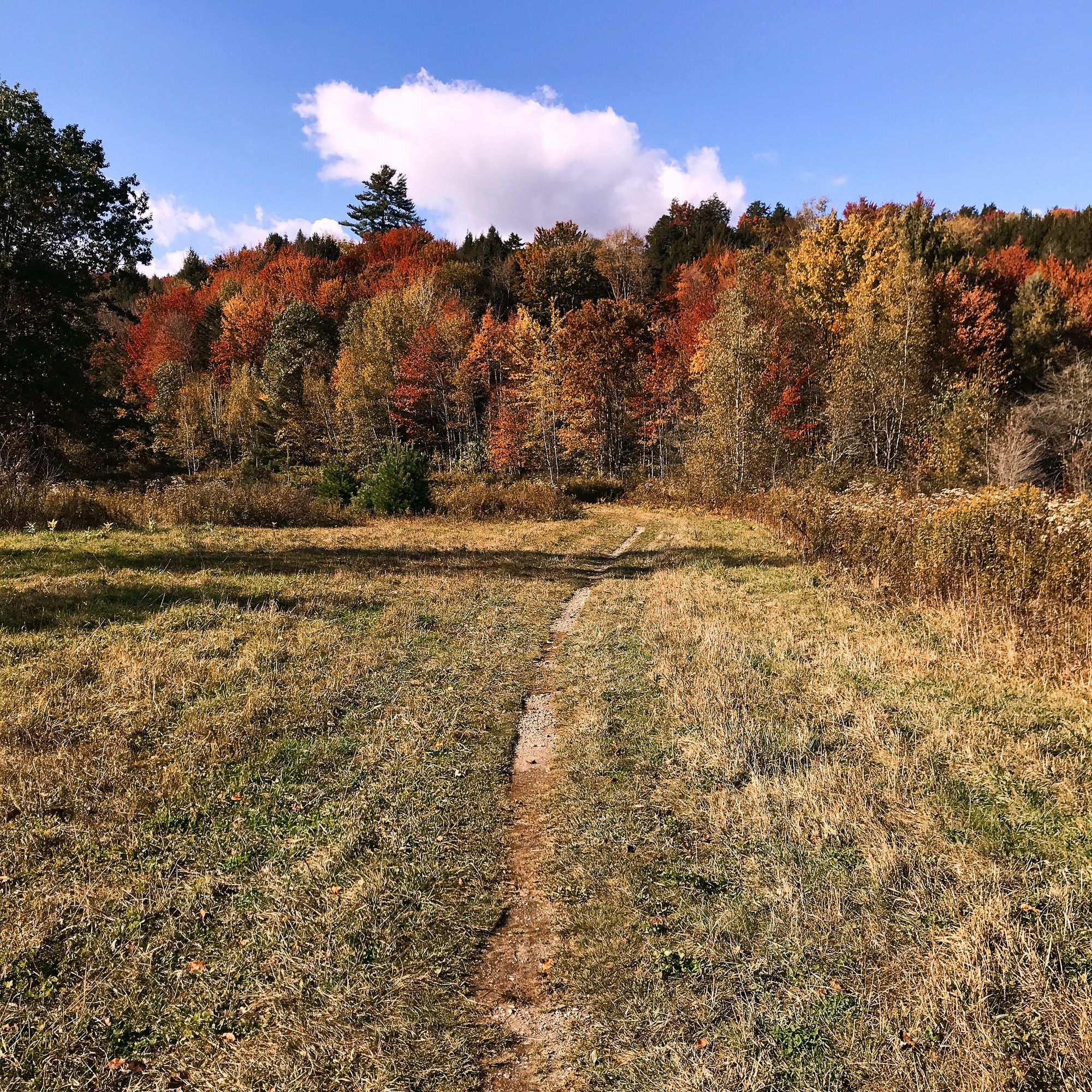 Our Favourite Routes for Fall Rides