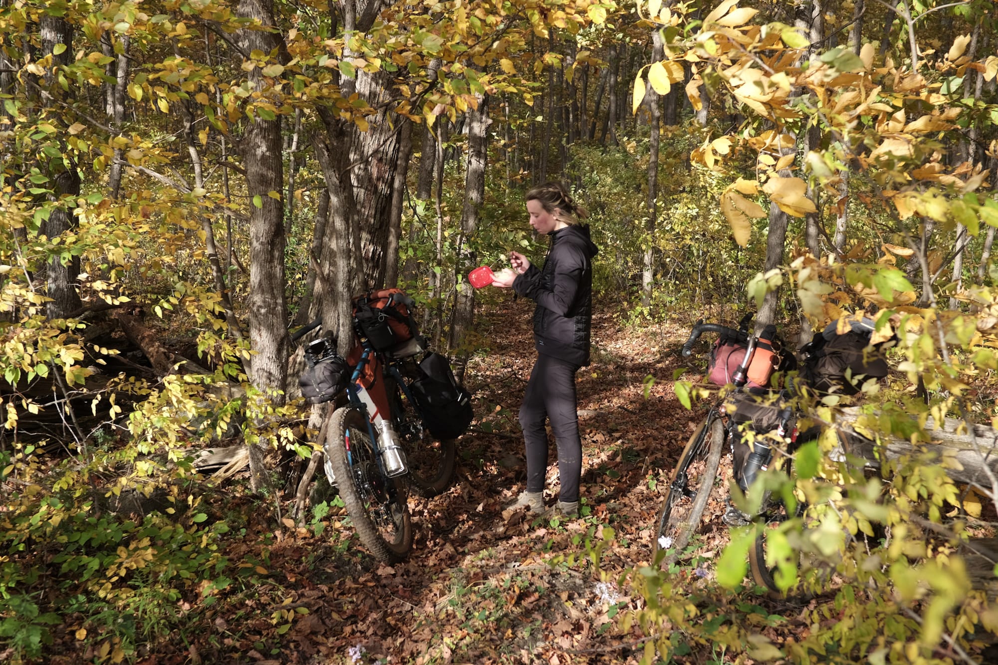 Holiday in Hastings: Four Fall Cycling Routes That Are Giving Vermont Vibes